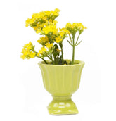 Brilliant Decorative Pot - Peridot Pots Foxyavenue UK